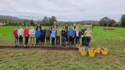 Excavation at Derrygonnelly