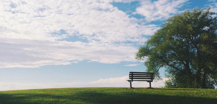 Bench on a hill under a tree