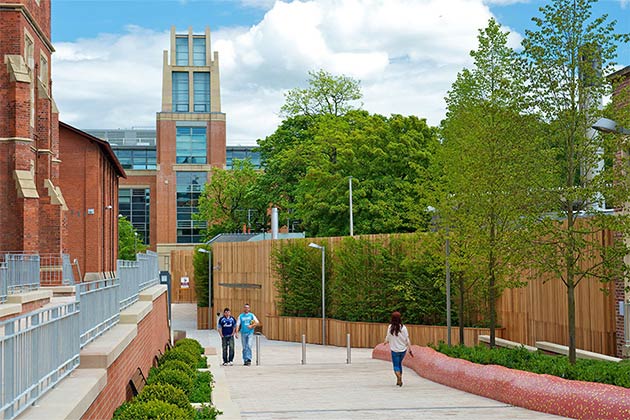 path leading to McClay Lbrary from Lanyon