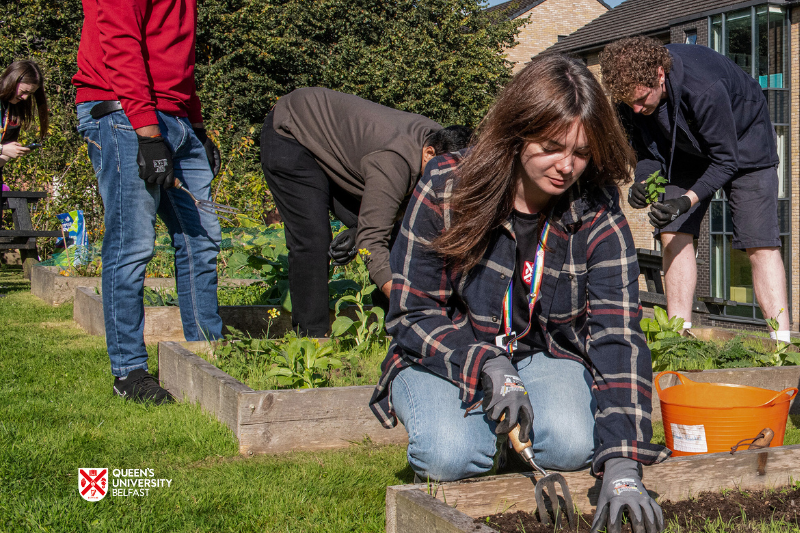 small group of people gardening in an allotment in the sunshine