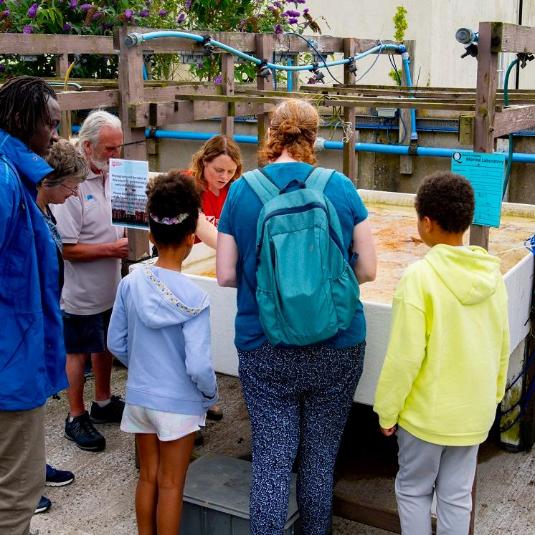 members of the public being shown some of the aquatic life in Strangford Lough at the Queen's University Belfast Marine Laboratory Open Day 2024