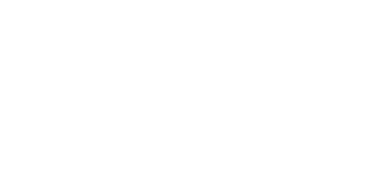 NI Grad Fair Logo