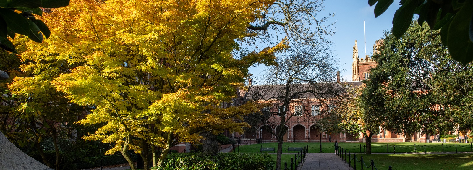 Westward view of Queen's quadrangle in autumn colours, looking from the Administration building towards the clock tower